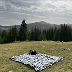 Pansion A&m Vlašić