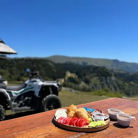 Pansion A&m Vlašić