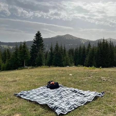 Pansion A&m ולאסיץ