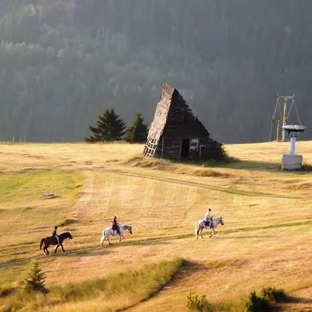 Pansion A&m דירה