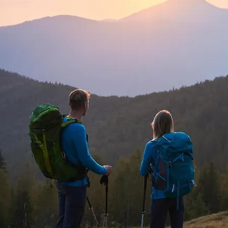 Pansion A&m * ולאסיץ