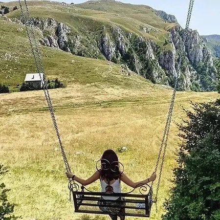 Pansion A&m * ולאסיץ