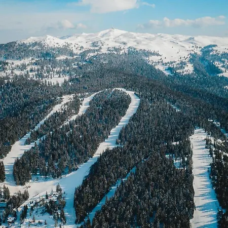 Pansion A&m * ולאסיץ