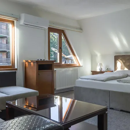 Pansion A&m * ולאסיץ